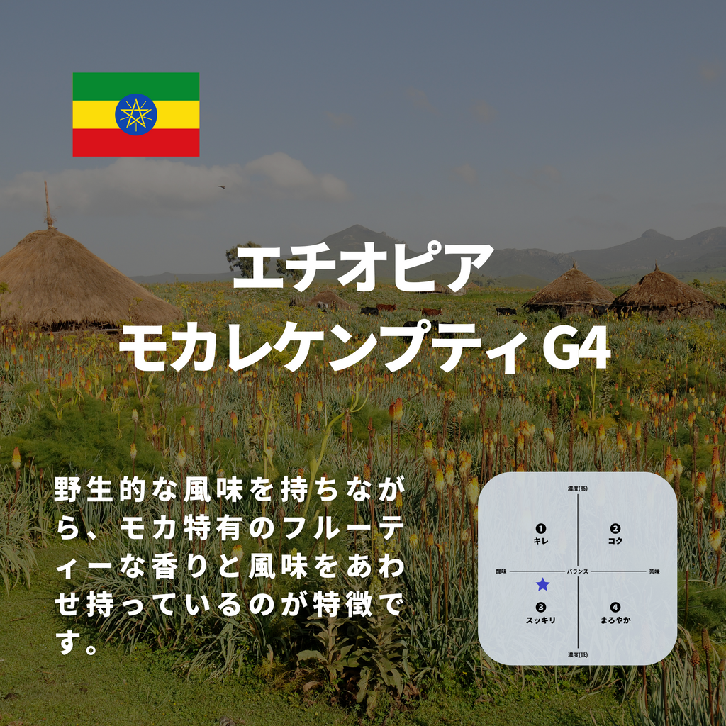 エチオピア モカレケンプティ G4 – 焙煎工房てんぷす