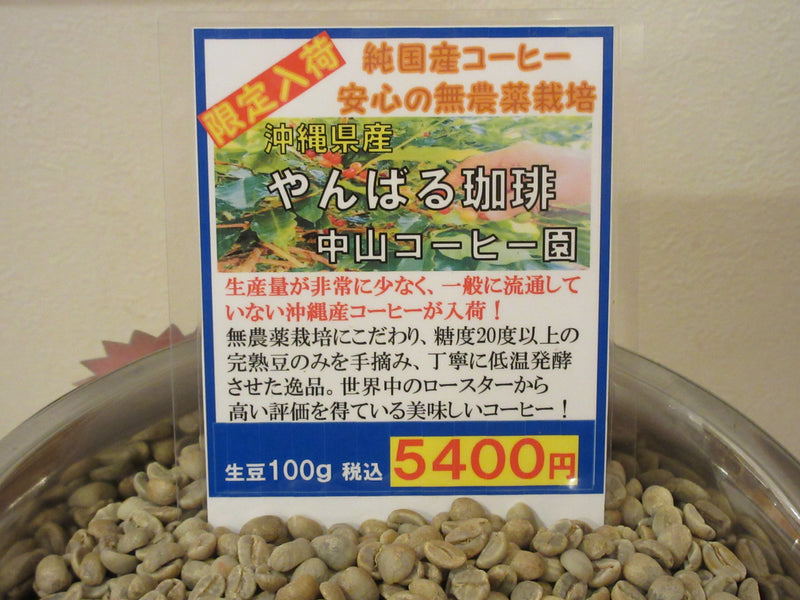 【限定１．５kg】純国産（沖縄産）コーヒが入荷しました