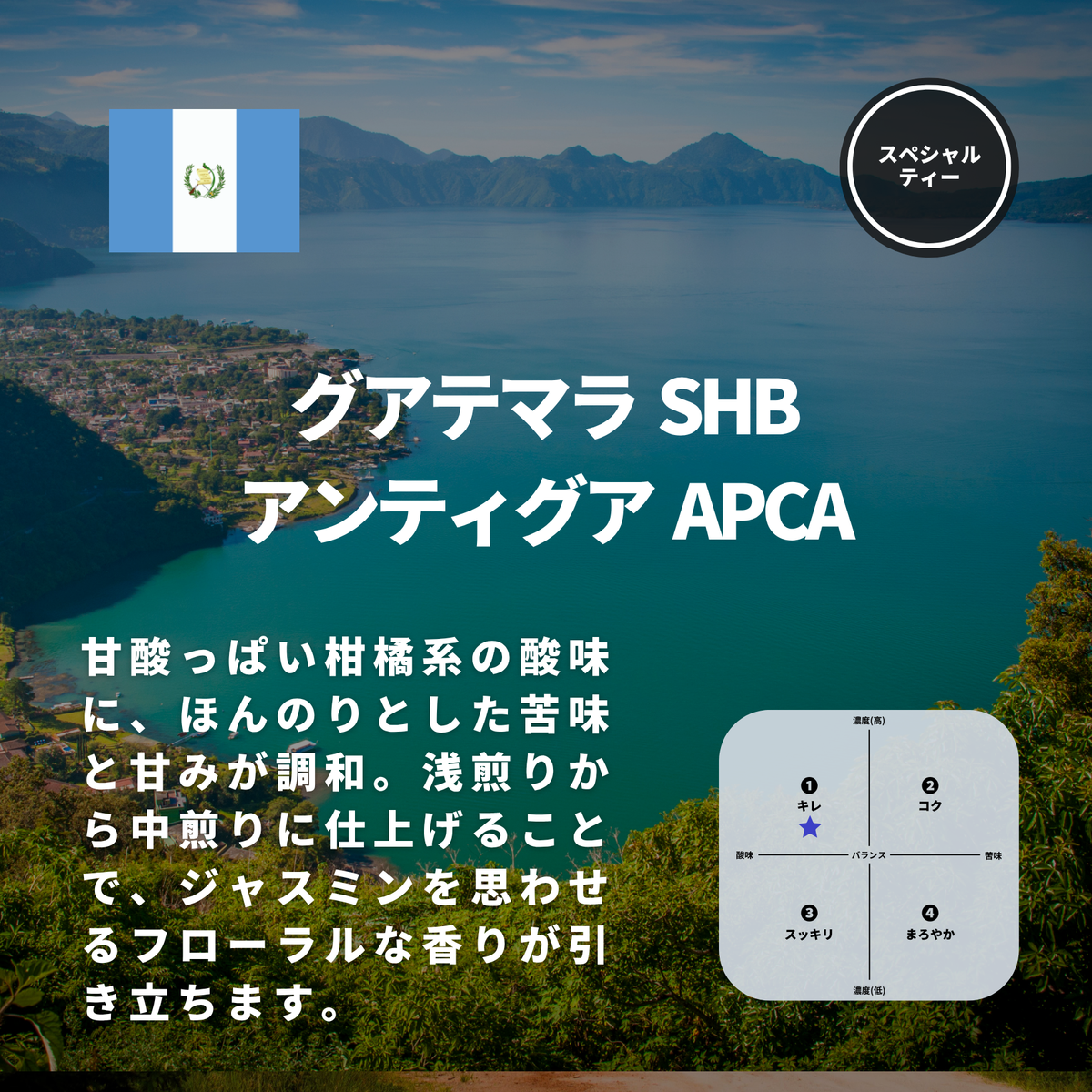 グアテマラ SHB アンティグア APCA