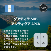 グアテマラ SHB アンティグア APCA