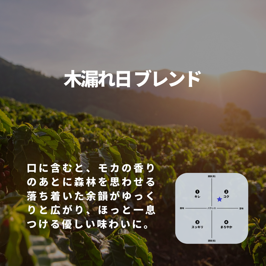 木漏れ日 ブレンド