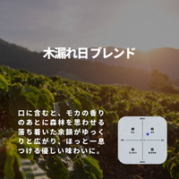 木漏れ日 ブレンド