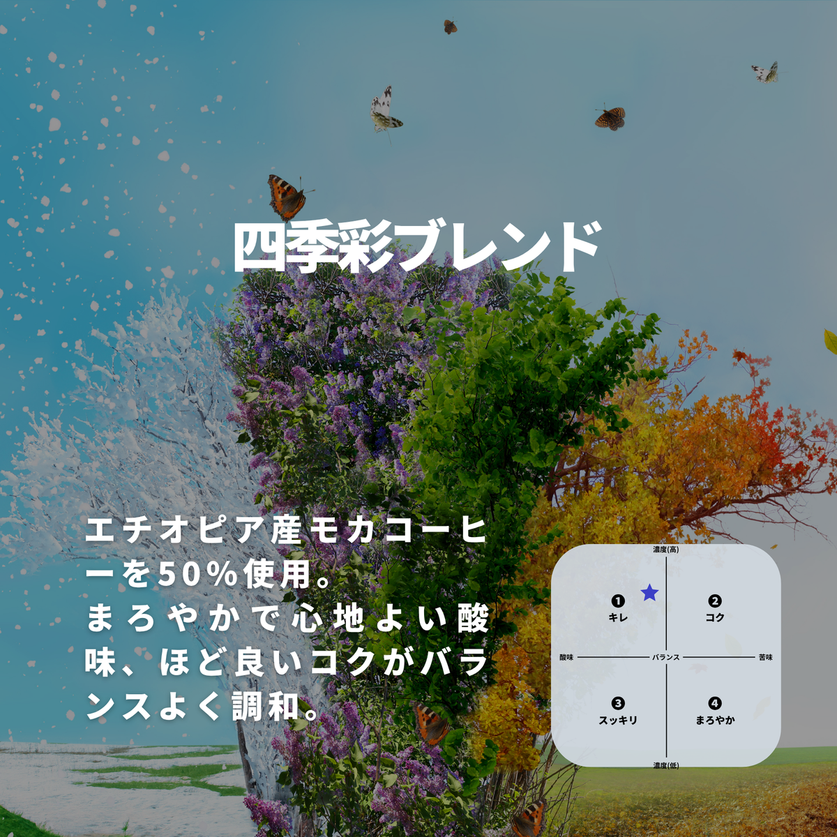 四季彩 ブレンド