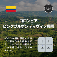 コロンビア ピンクブルボン ディヴィソ農園