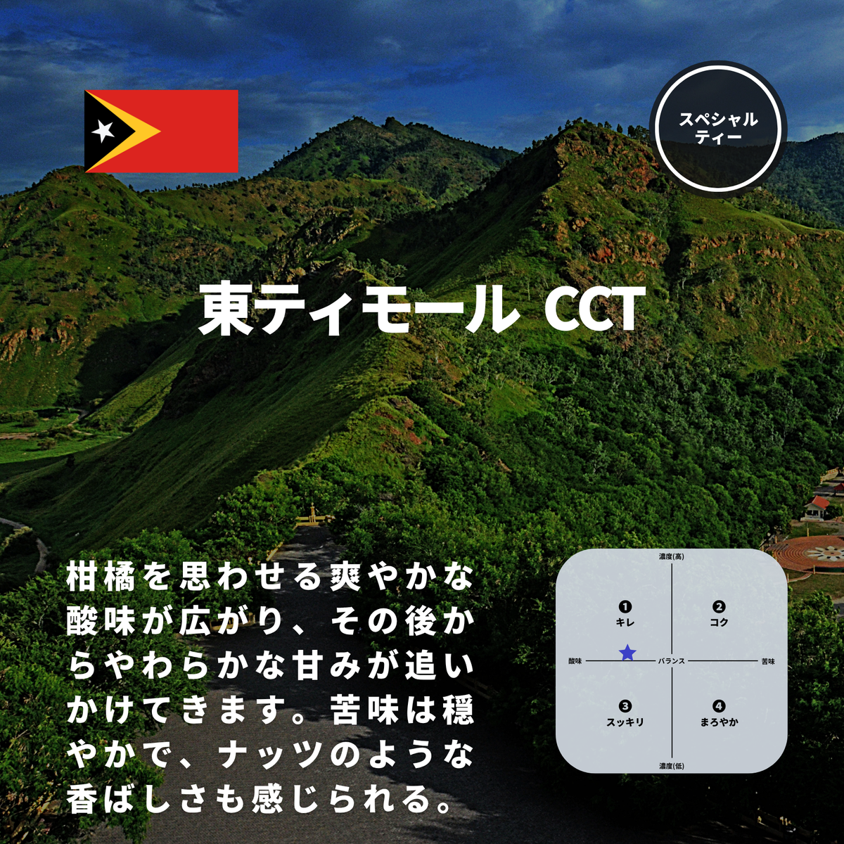 東ティモール CCT