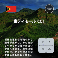 東ティモール CCT