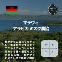 マラウィ アラビカ ミスク農協