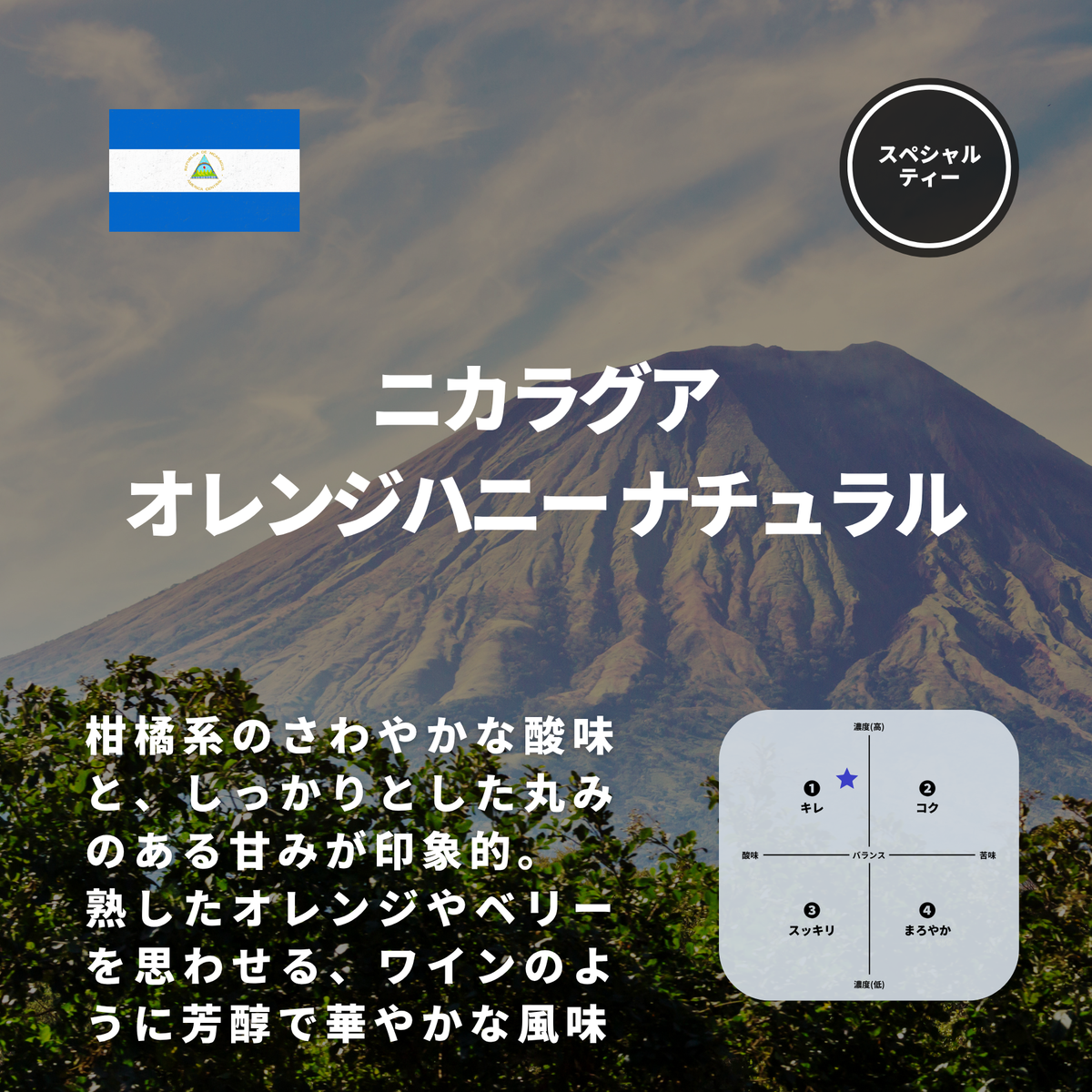 ニカラグア オレンジハニー ナチュラル