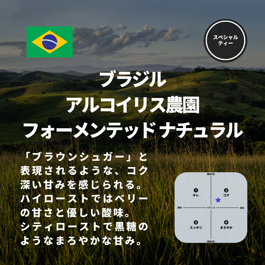 ブラジル アルコイリス農園 フォーメンテッド ナチュラル
