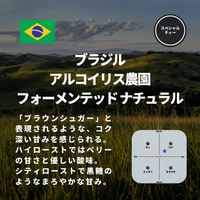 ブラジル アルコイリス農園 フォーメンテッド ナチュラル