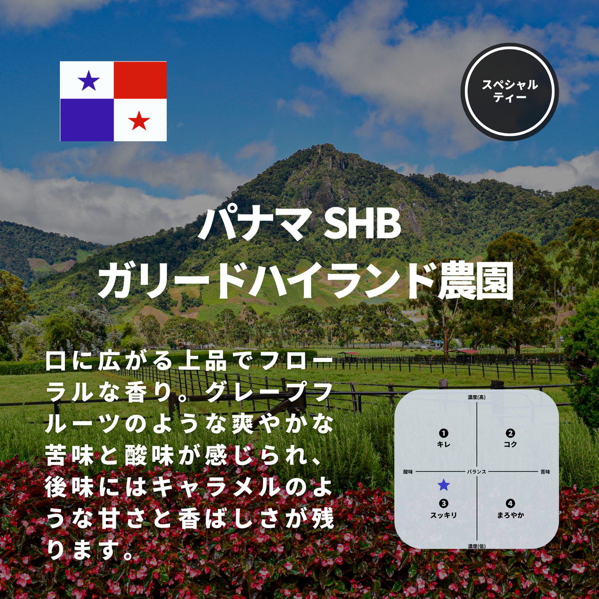 パナマ SHB　ガリードハイランド農園
