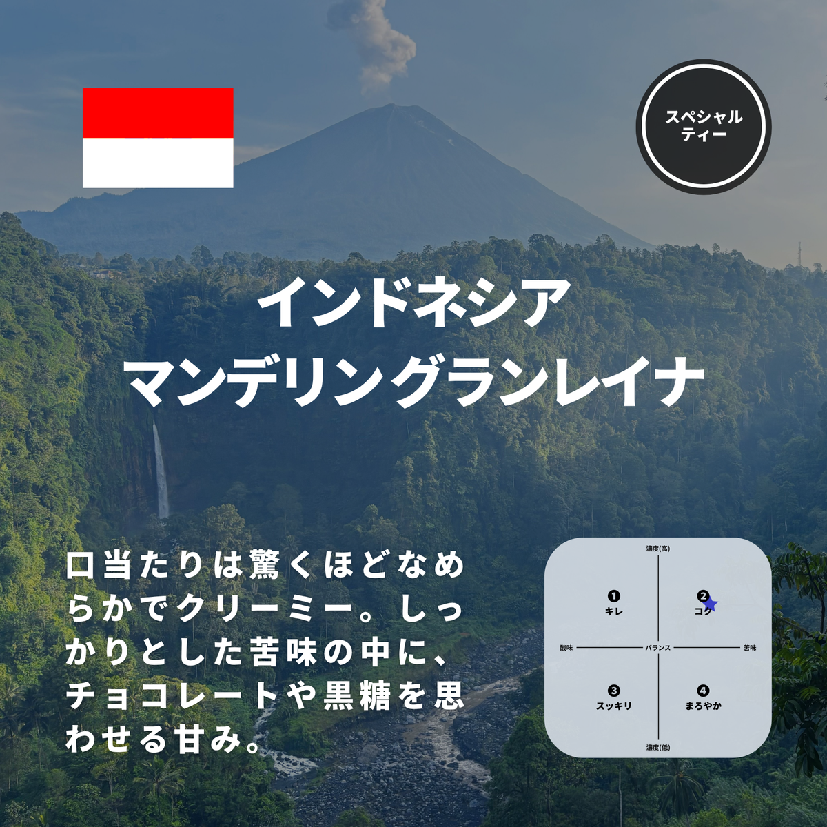 インドネシア マンデリン グランレイナ