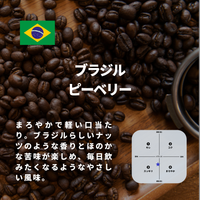 ブラジル ピーベリー