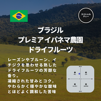 ブラジル プレミア イパネマ農園 ドライフルーツ