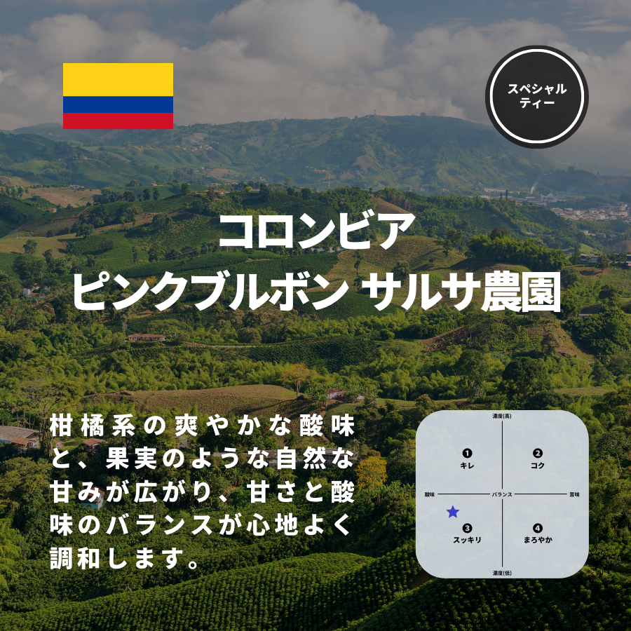コロンビア ピンクブルボン サルサ農園