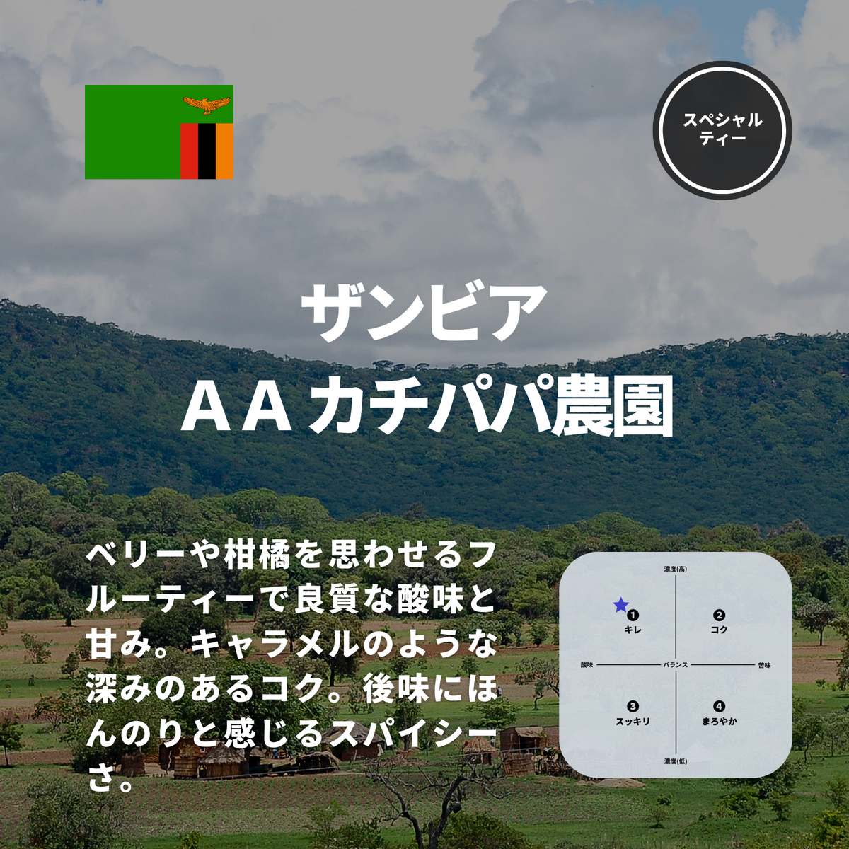 ザンビア ＡＡ カチパパ農園