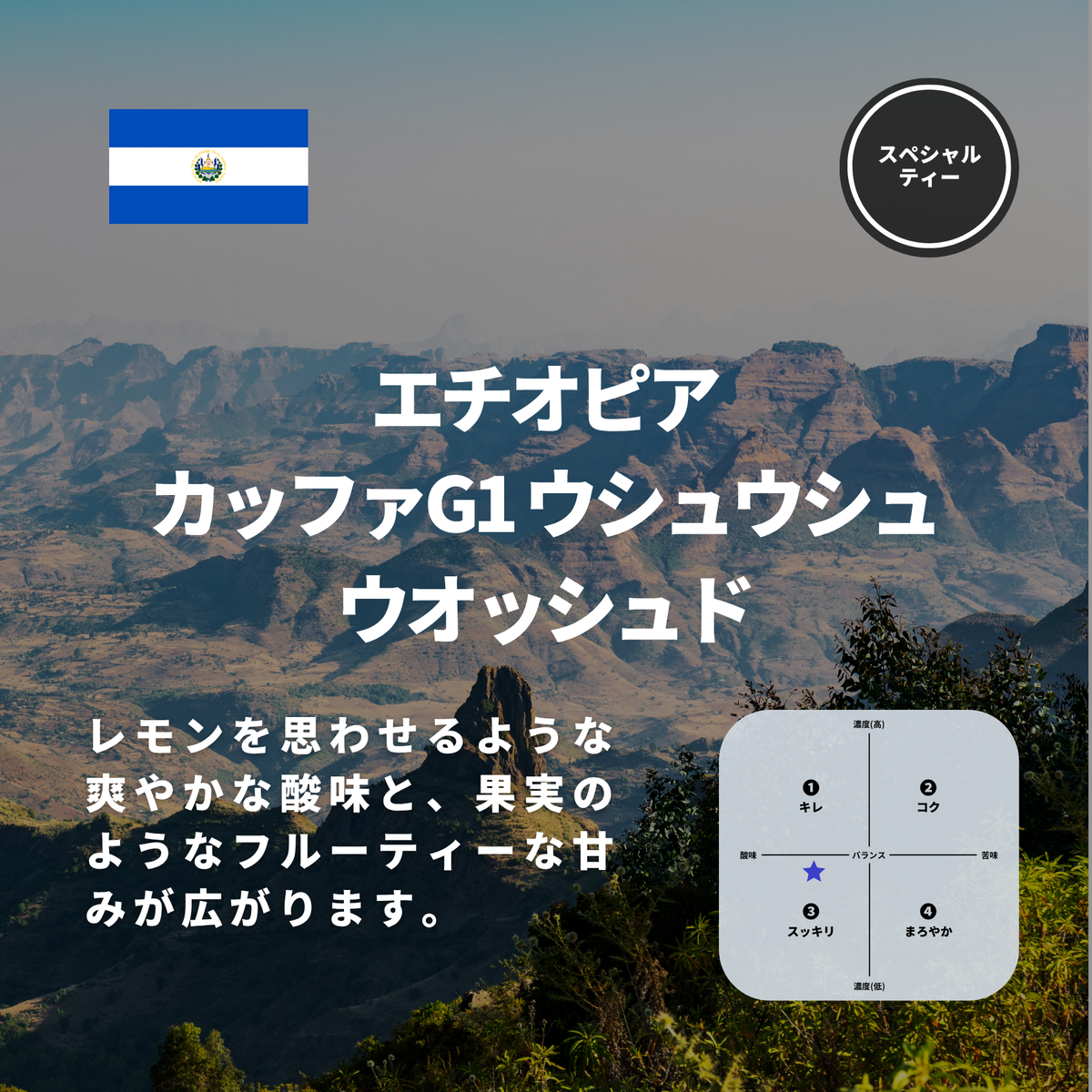 エチオピア カッファG1 ウシュウシュ ウオッシュド