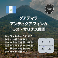 グアテマラ アンティグア フィンカ ラス・サリナス農園