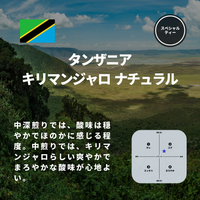 タンザニア キリマンジャロ ナチュラル