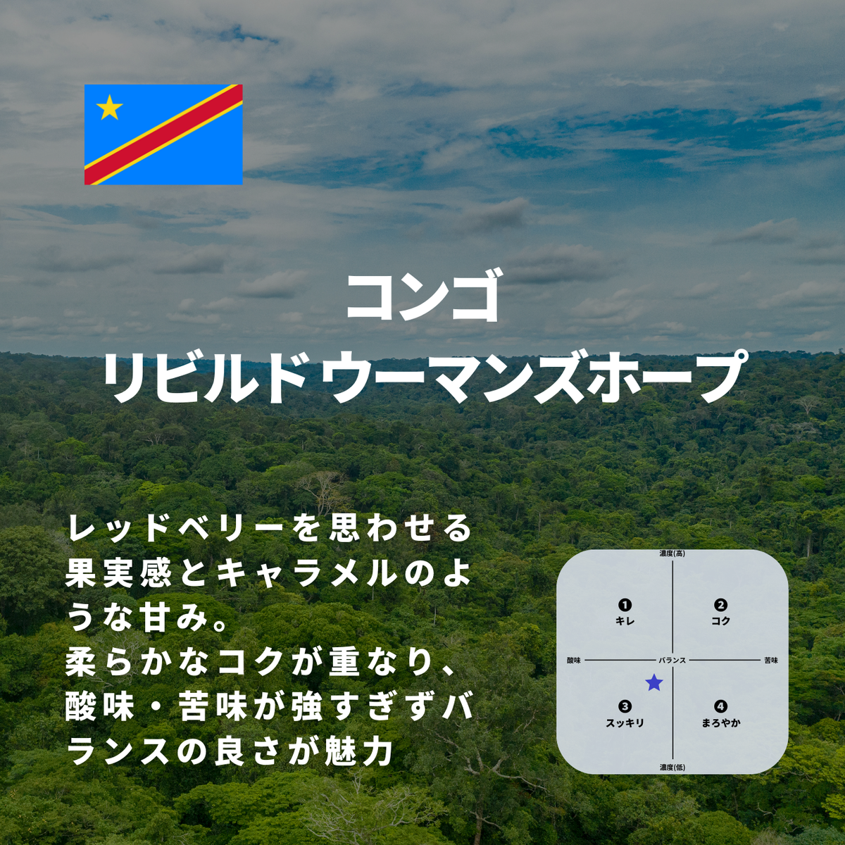 コンゴ リビルド ウーマンズホープ