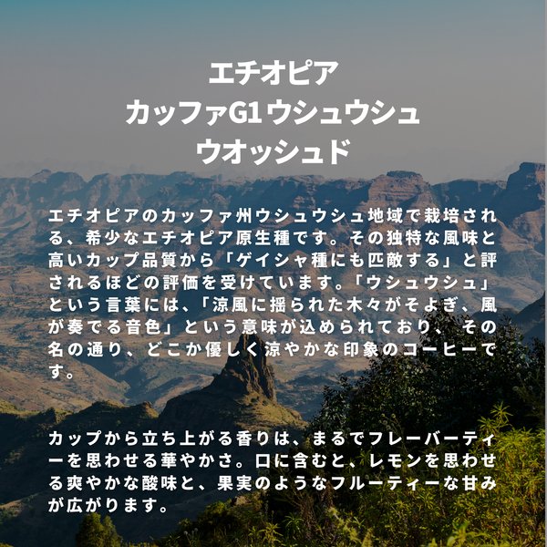 エチオピア カッファG1 ウシュウシュ ウオッシュド
