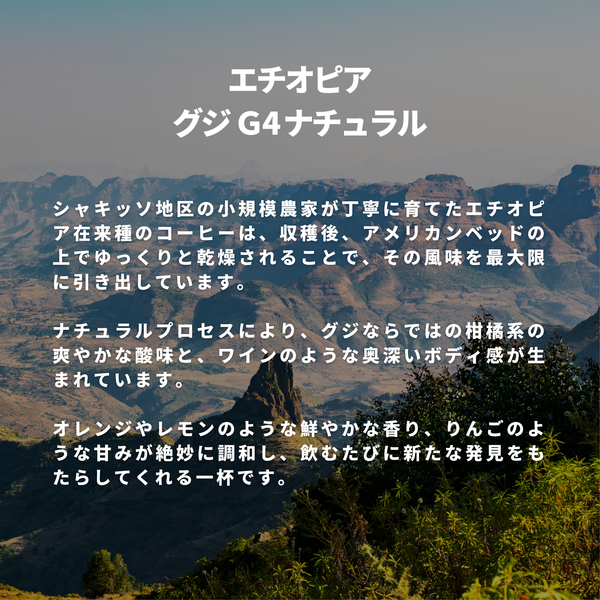 エチオピア グジG4ナチュラル