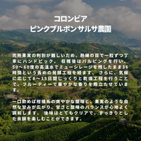 コロンビア ピンクブルボン サルサ農園