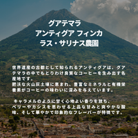 グアテマラ アンティグア フィンカ ラス・サリナス農園