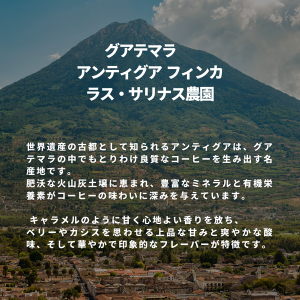 グアテマラ アンティグア フィンカ ラス・サリナス農園