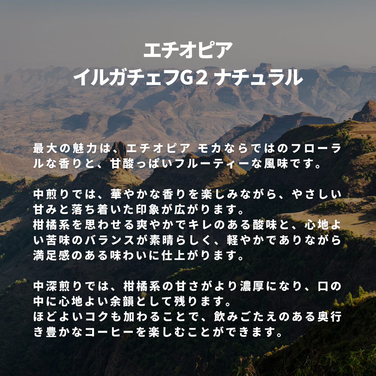 エチオピア イルガチェフG２ ナチュラル