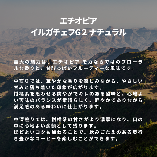 エチオピア イルガチェフG２ ナチュラル