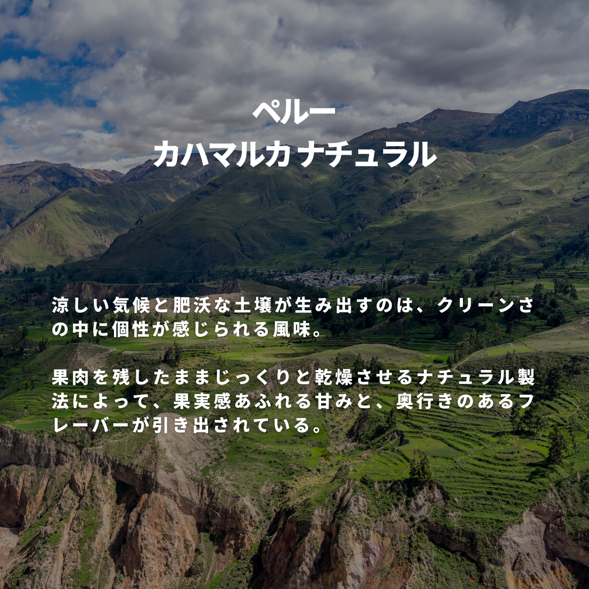 ペルー カハマルカ　ナチュラル