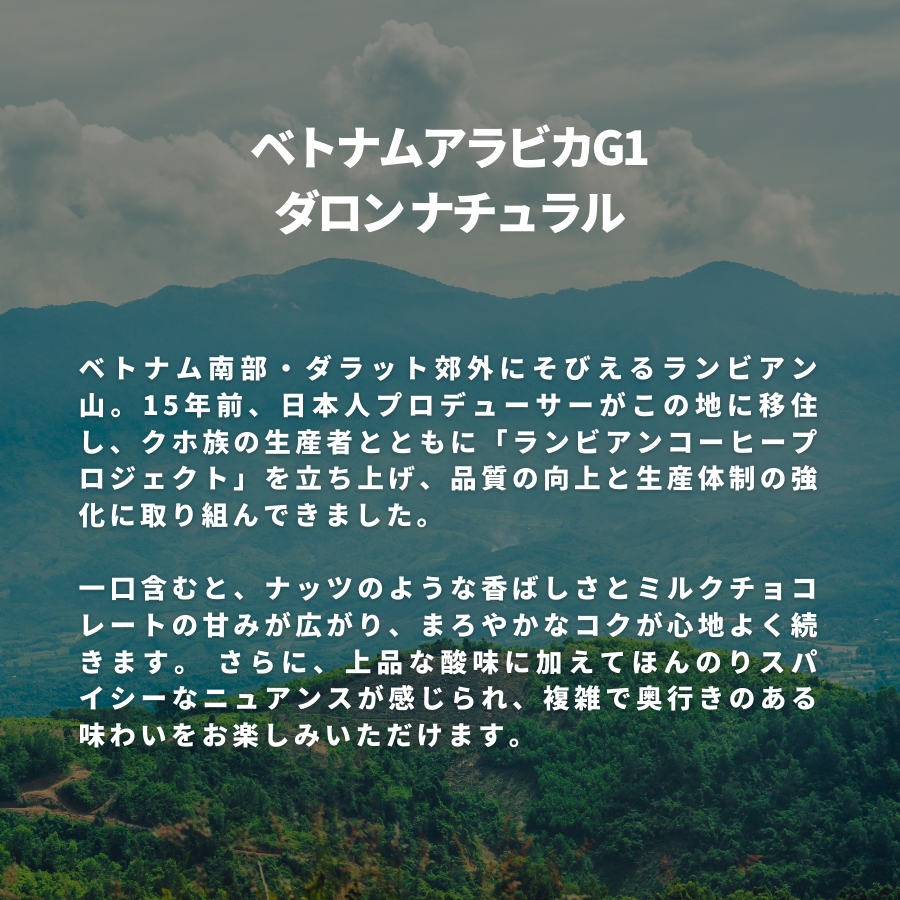 ベトナム アラビカG1  ダロン ナチュラル