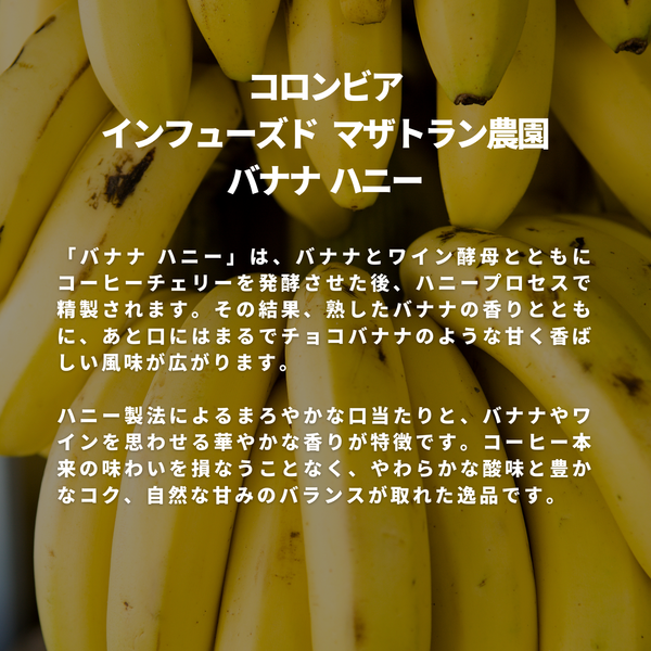 コロンビア インフューズド マザトラン農園 バナナ ハニー