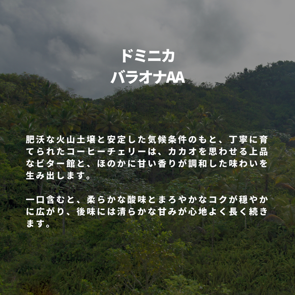 ドミニカ バラオナAA