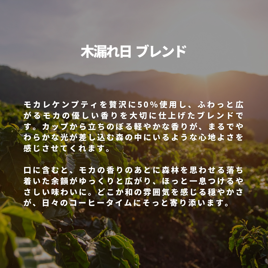 木漏れ日 ブレンド