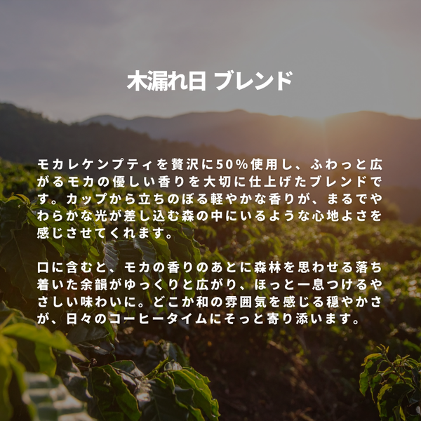 木漏れ日 ブレンド