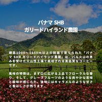 パナマ SHB　ガリードハイランド農園