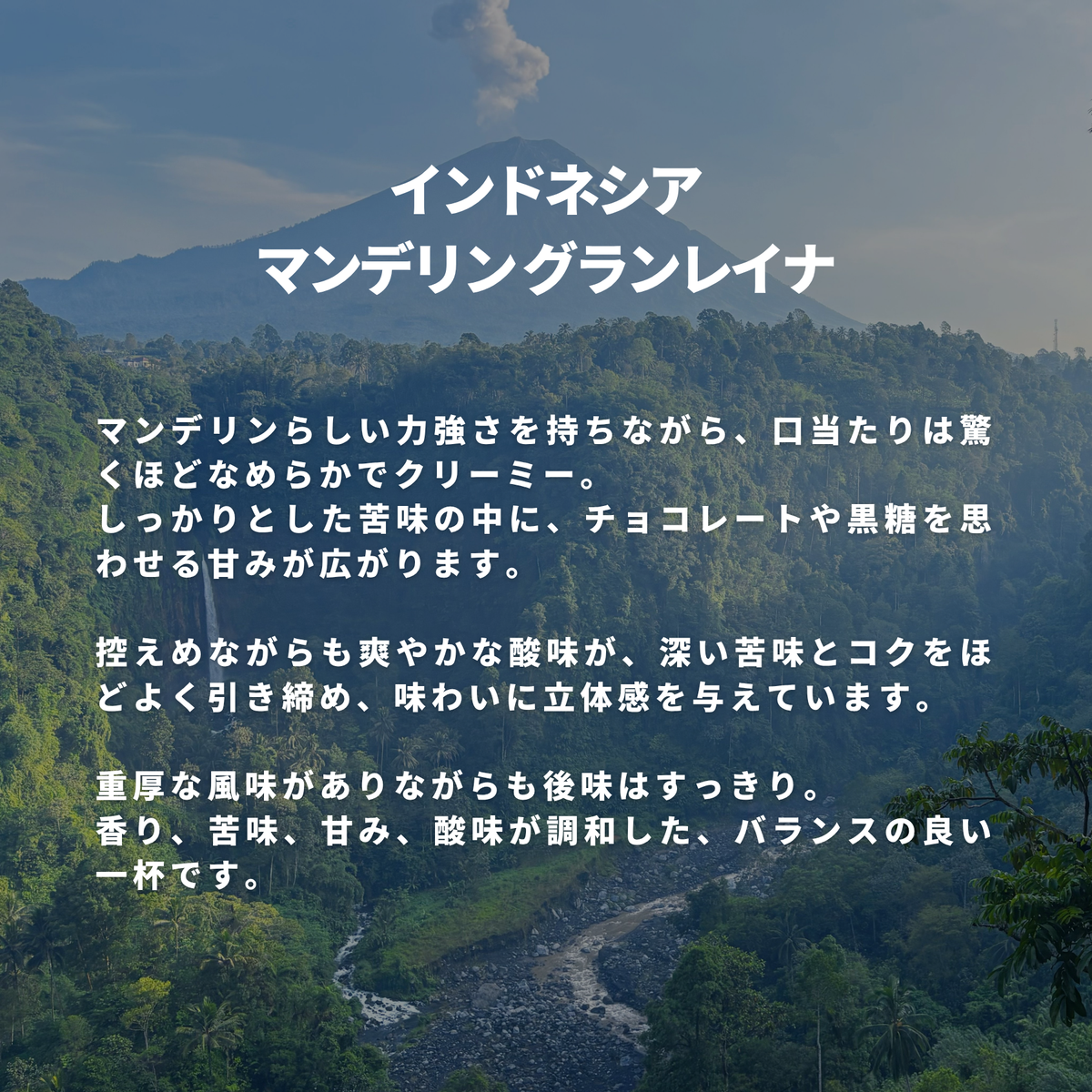 インドネシア マンデリン グランレイナ