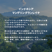 インドネシア マンデリン グランレイナ