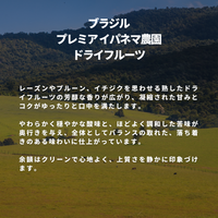 ブラジル プレミア イパネマ農園 ドライフルーツ