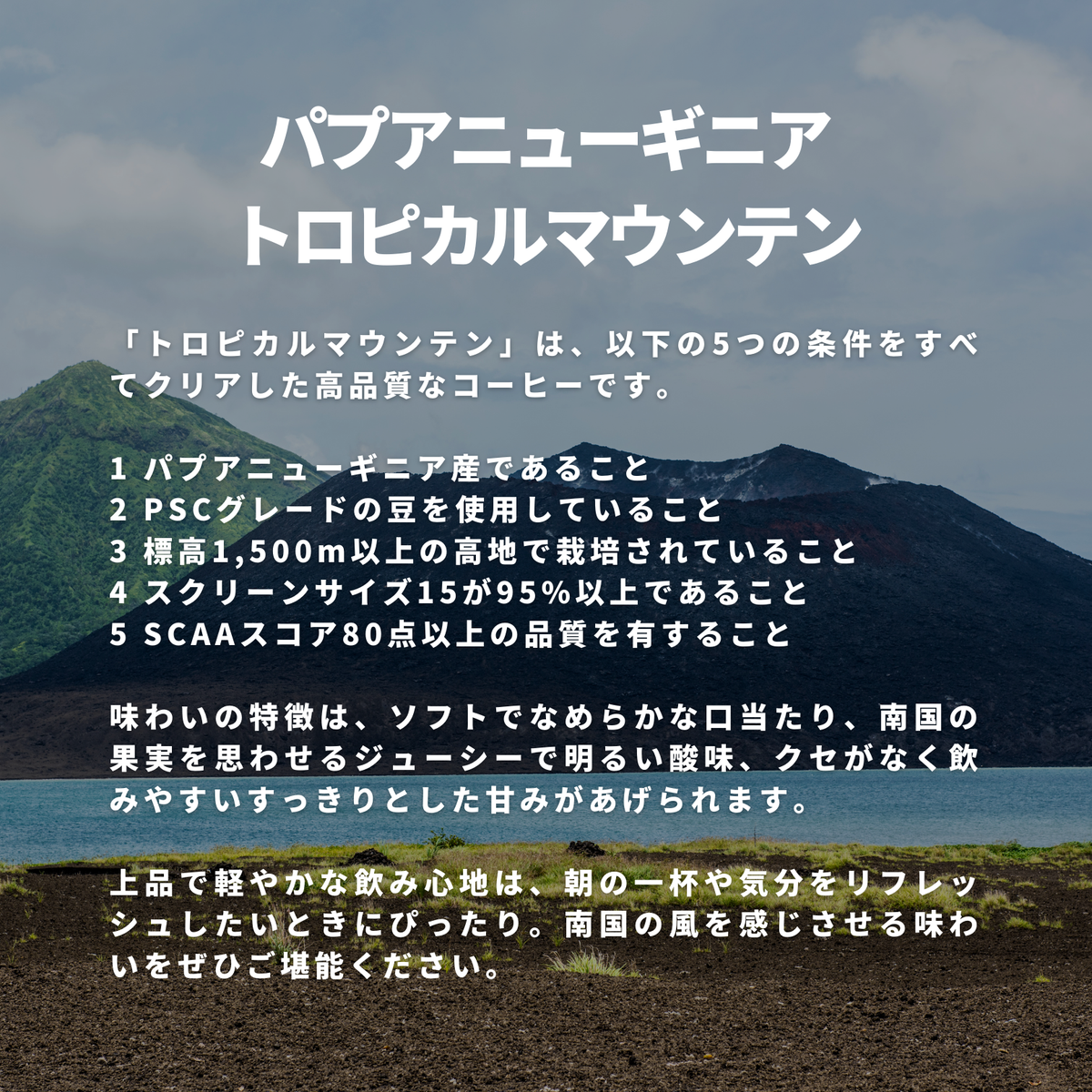 パプアニューギニア トロピカルマウンテン