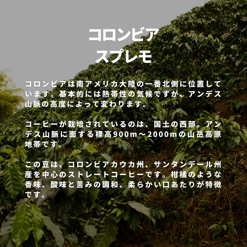 コロンビア スプレモ
