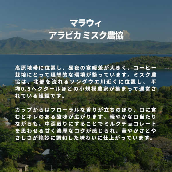マラウィ アラビカ ミスク農協