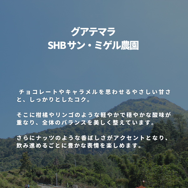 グアテマラ SHB サン・ミゲル農園