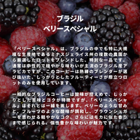 ブラジル　ベリースペシャル