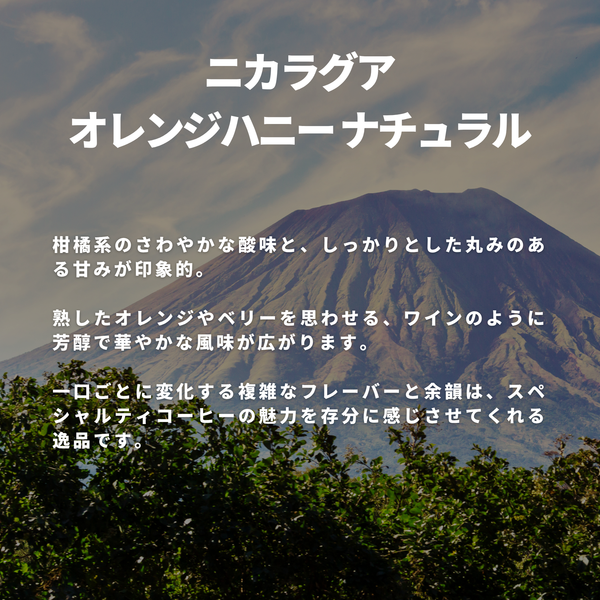 ニカラグア オレンジハニー ナチュラル