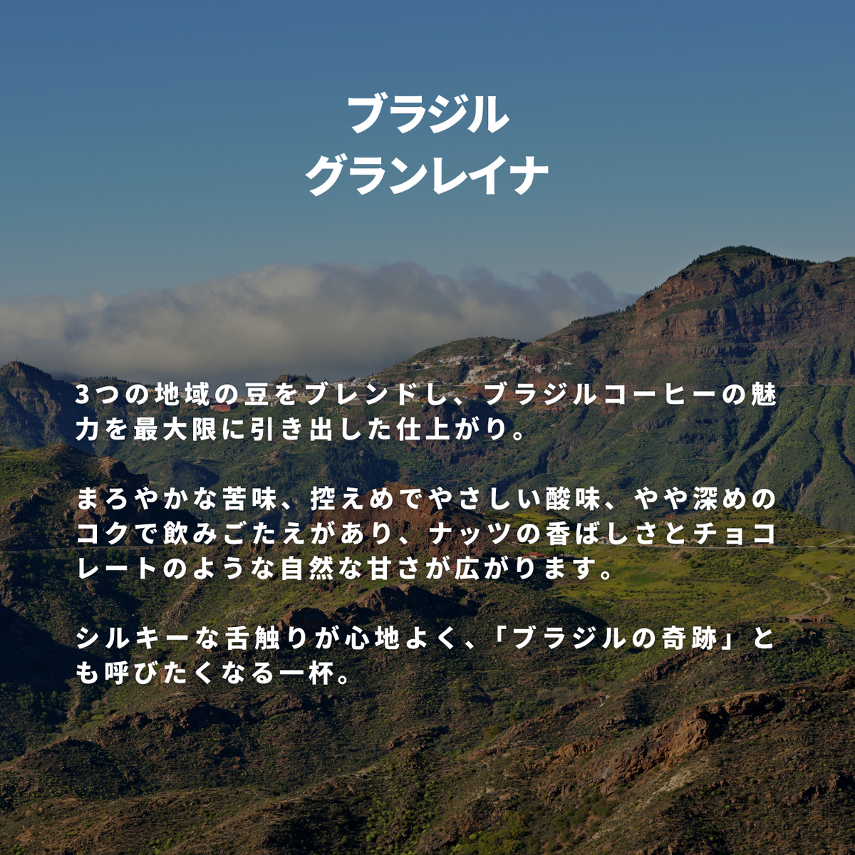 ブラジル グランレイナ