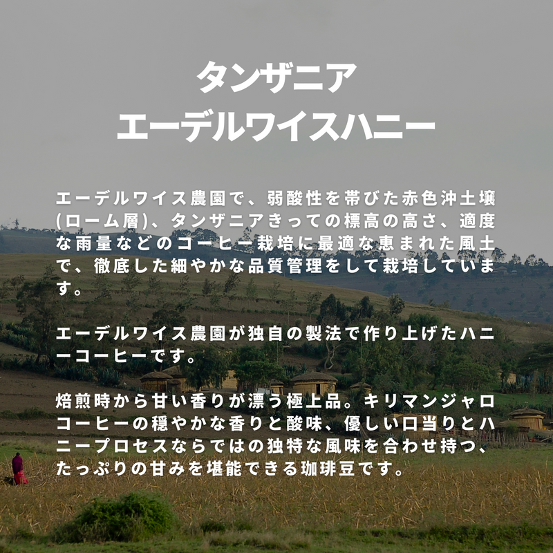 タンザニア エーデルワイスハニー