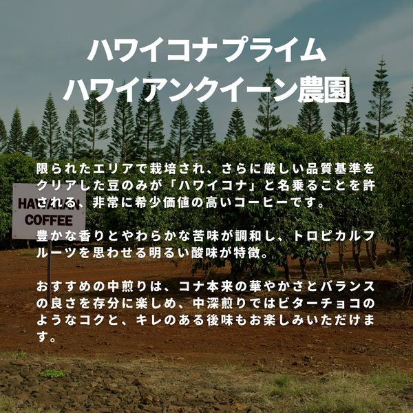 ハワイコナ プライム ハワイアンクイーン農園